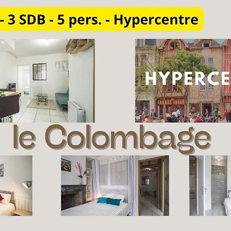 Le Colombage-3 Chambres- Hypercentre Troyes Kültér fotó